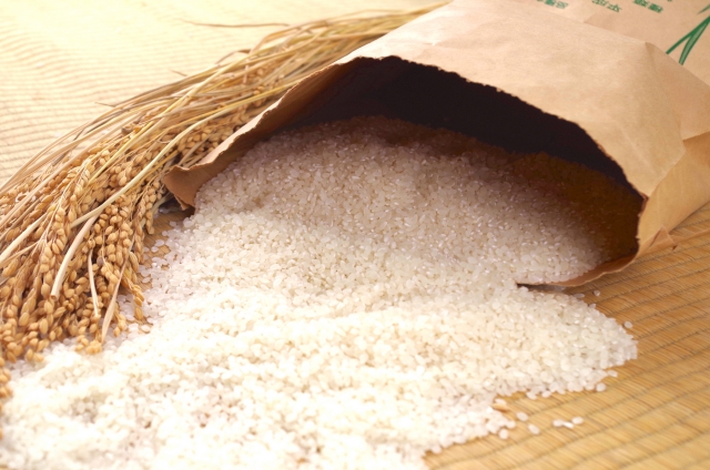 お米で最近開発された新品種の食味はどうですか？